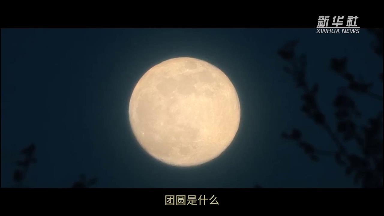 暖心微視頻丨最喜人間團圓時-新華網(wǎng)[00-00-01][20250212-22421978].jpg